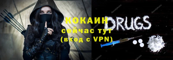 ешки Арсеньев