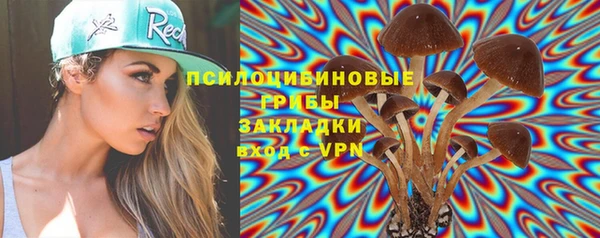 ешки Арсеньев